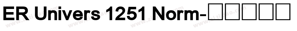 ER Univers 1251 Norm字体转换